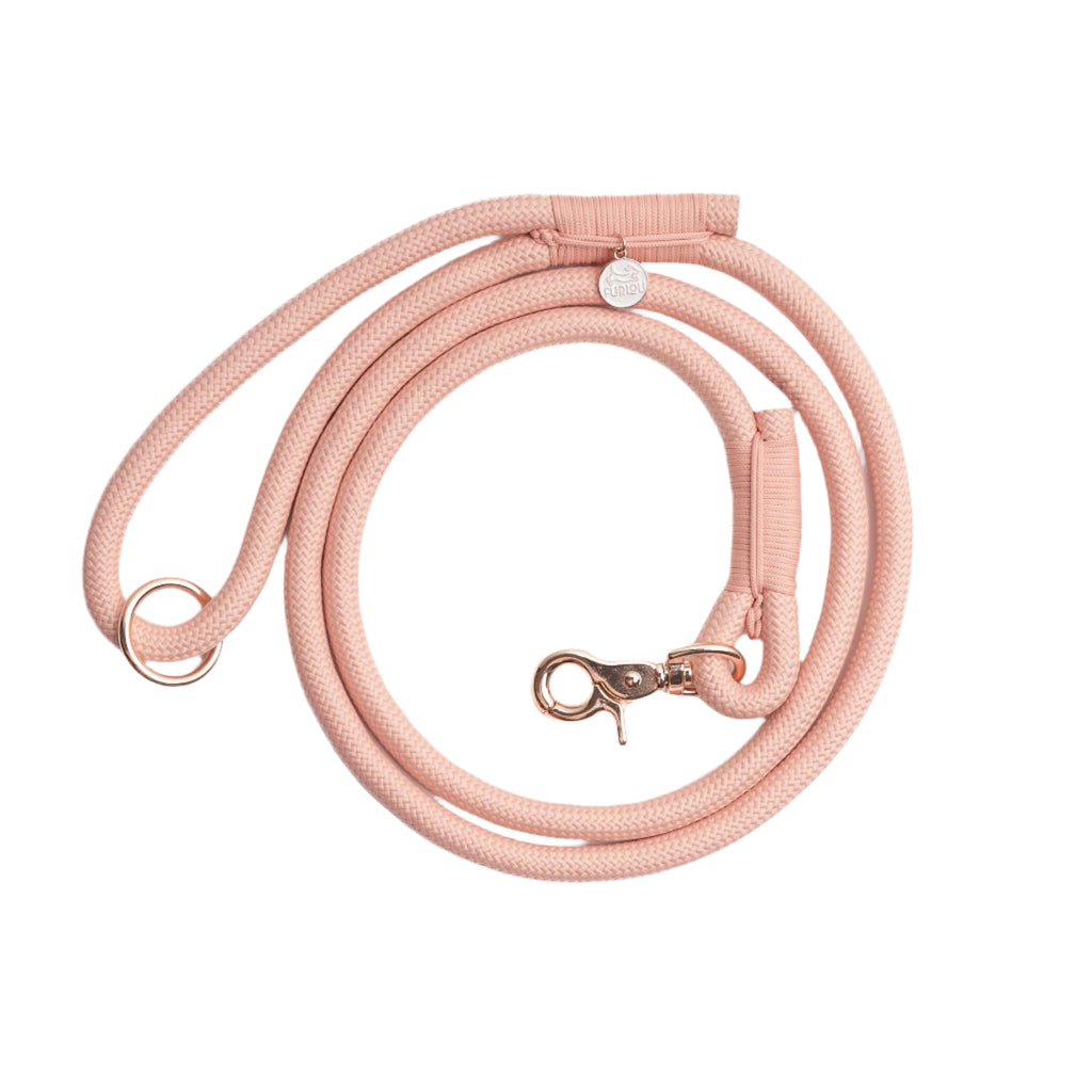 Pink dog leash with rose gold clasp on a white background