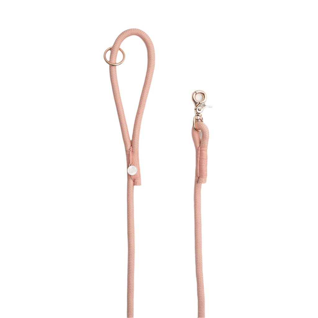 Pink dog leash with gold clip on a white background