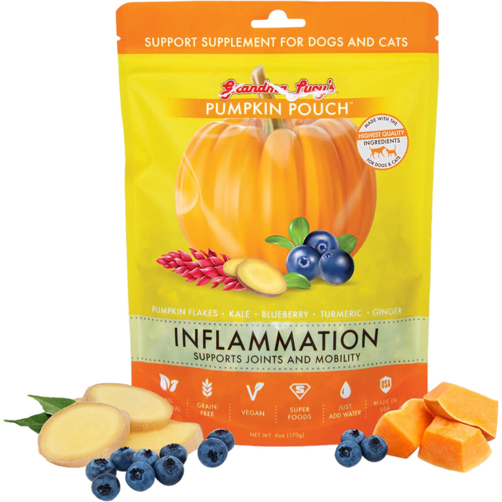 grandma lucy's anti-inflammatory pumpkin pouch