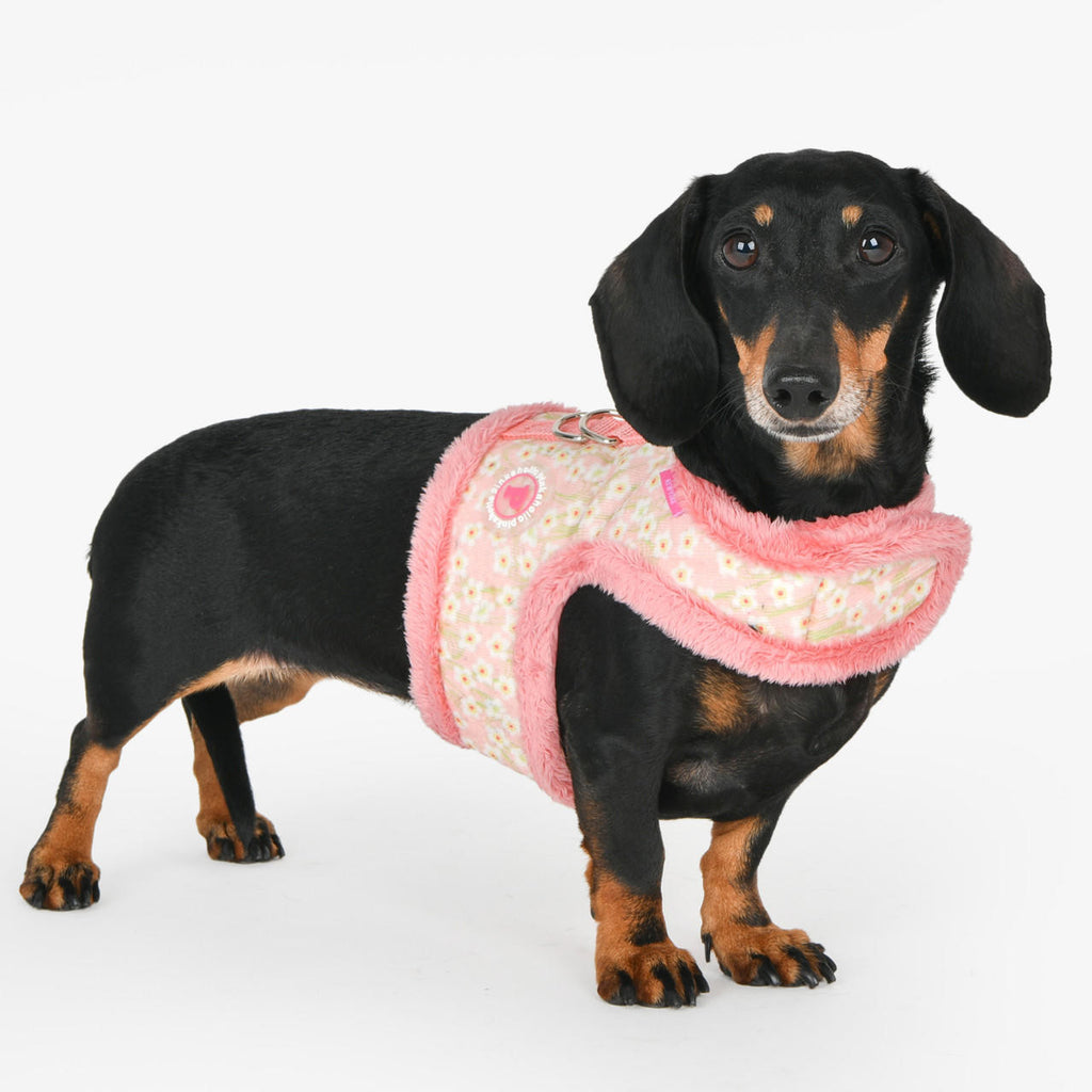 kalina winter floral velcro closure harness - pink