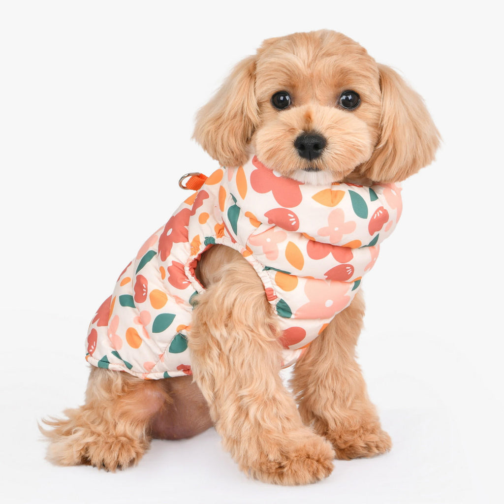 hibiscus floral puff jacket with harness - orange