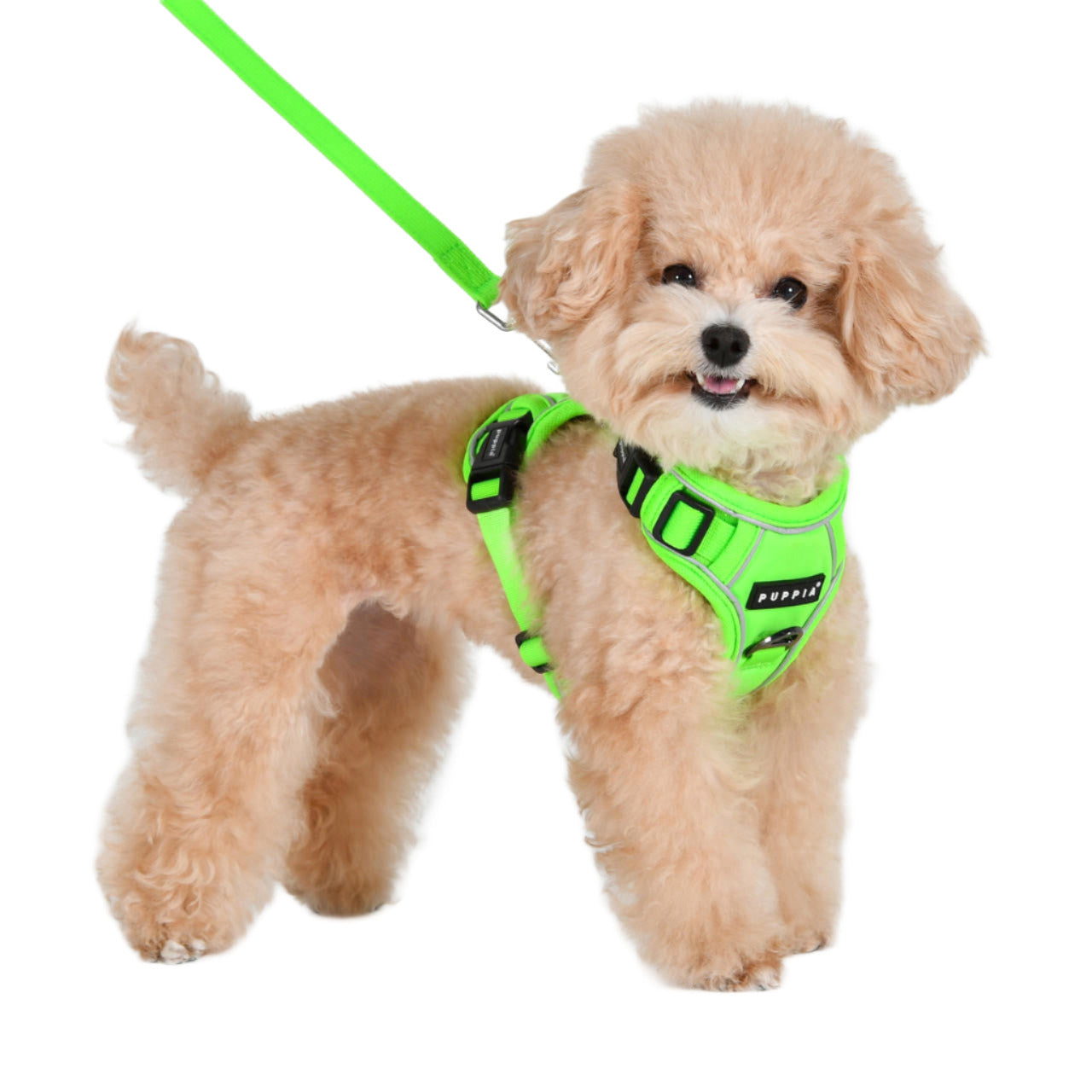 Vest Harness Puppia Neon Harness NEON SOFT VEST HARNESS B