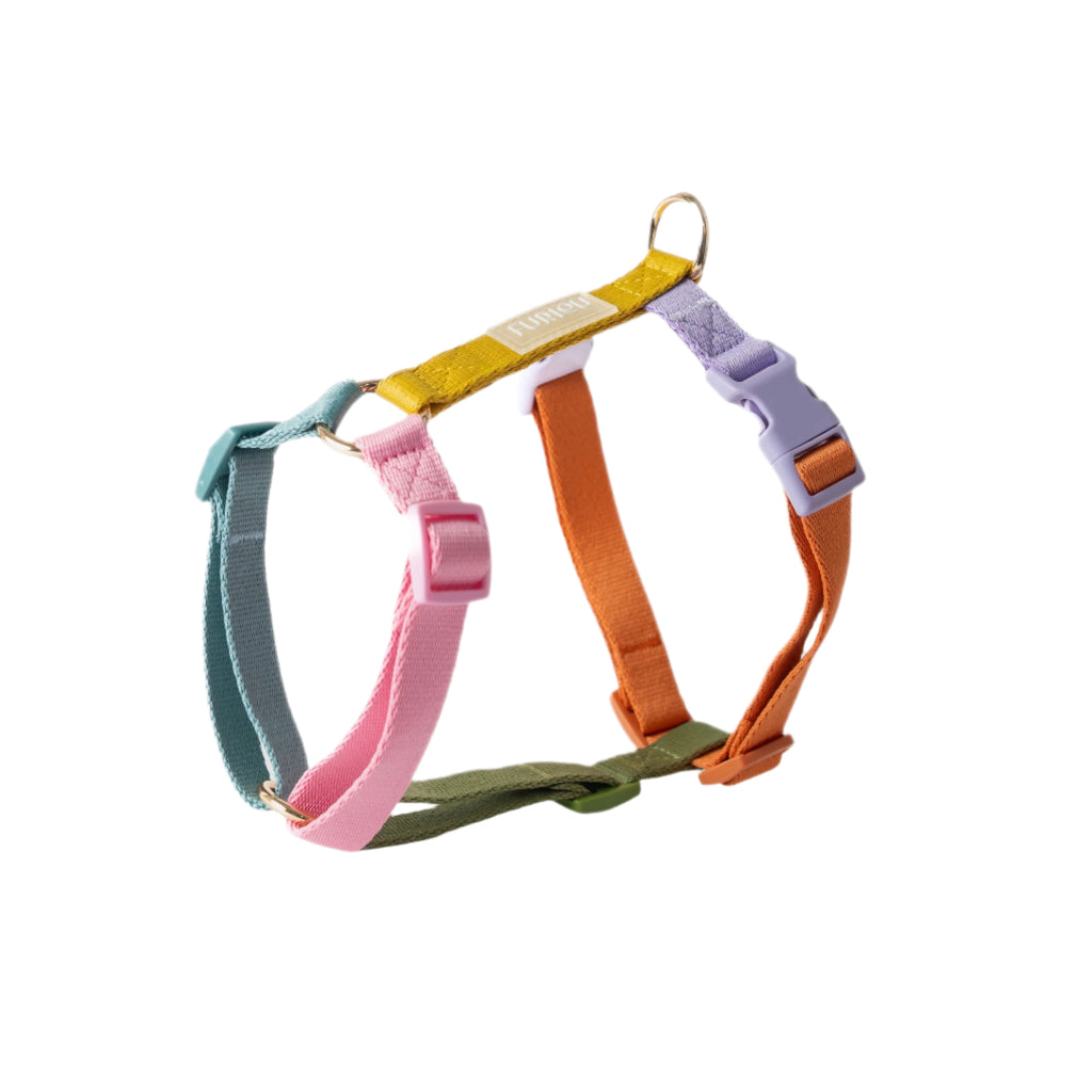 Set of colorful dog harnesses on a white background