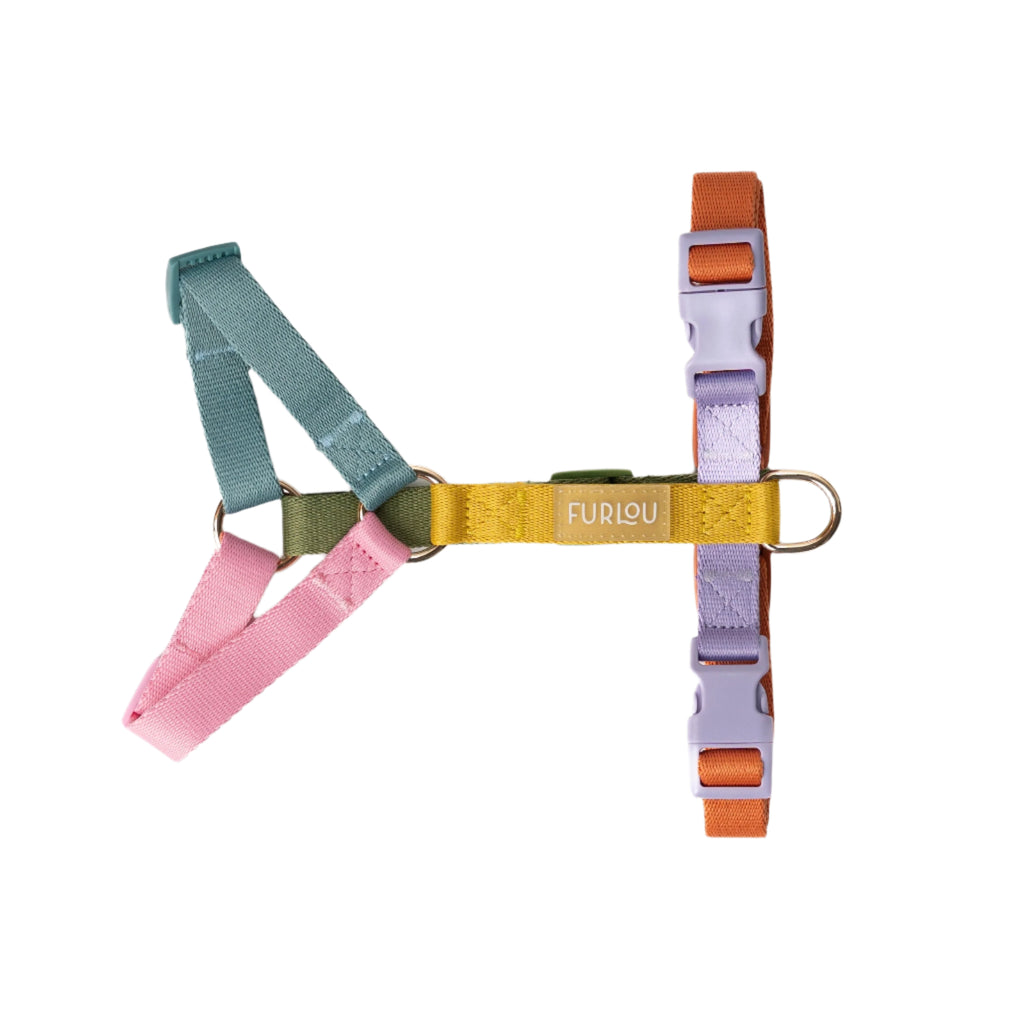 Colorful dog collars with a visible brand name on a white background