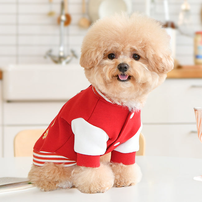 bear friends baseball jacket - red - few left!