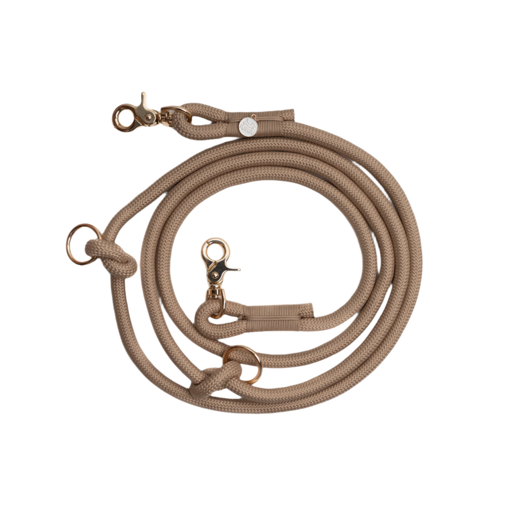 Beige dog leash with brass hardware on a white background