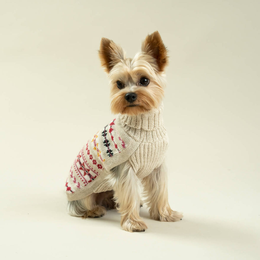aurora alpaca sweater