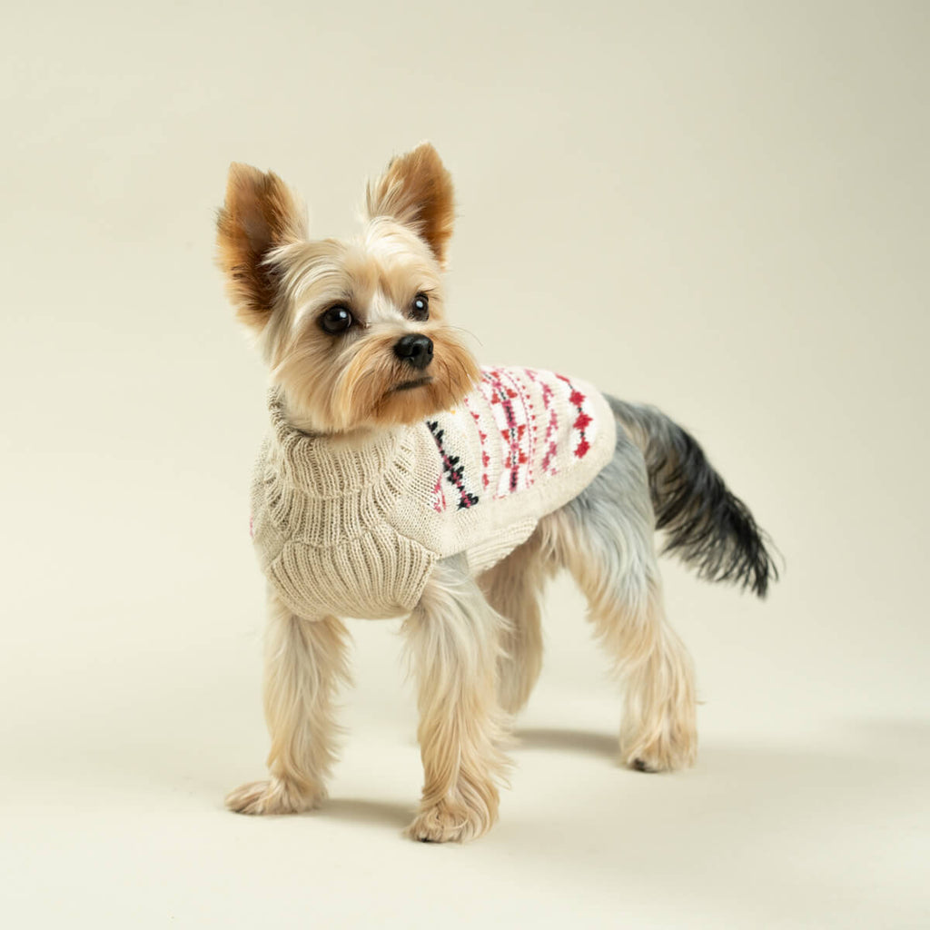 aurora alpaca sweater