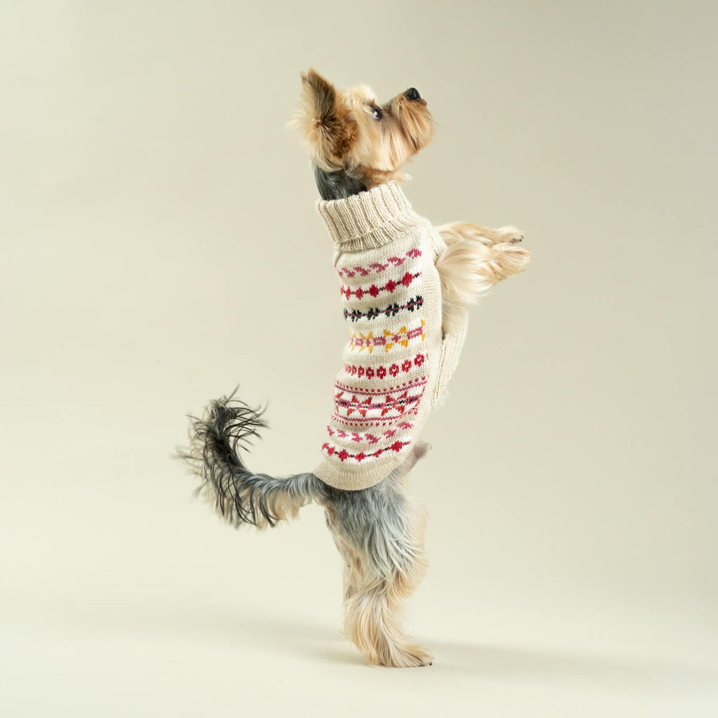aurora alpaca sweater