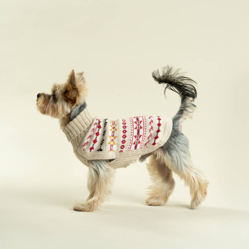 aurora alpaca sweater