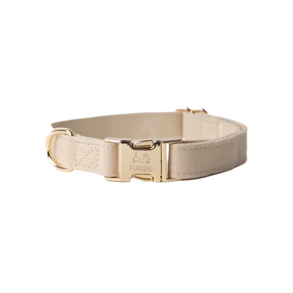 Beige dog collar with gold buckle on a white background