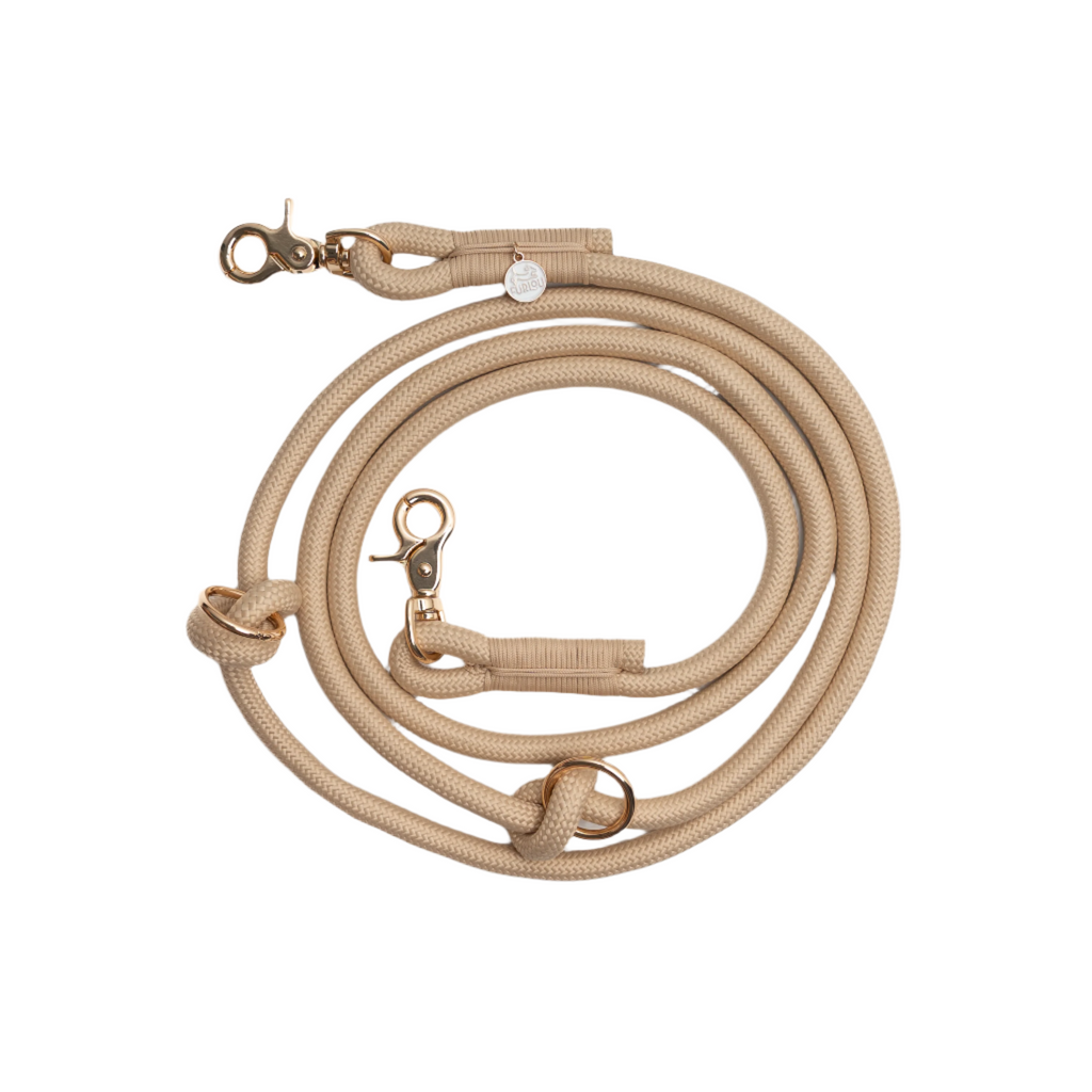 Beige dog leash with gold hardware on a white background