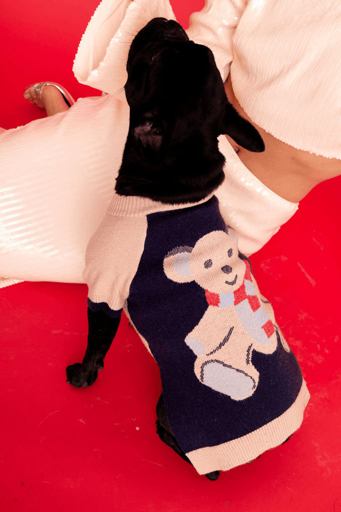 teddy raglan jumper