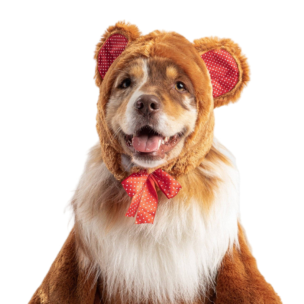 Dog wearing a bear costume with red ears and bow tie on a white background