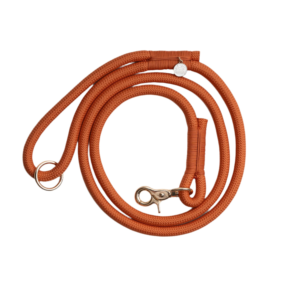 Brown dog leash with brass clasp on a white background