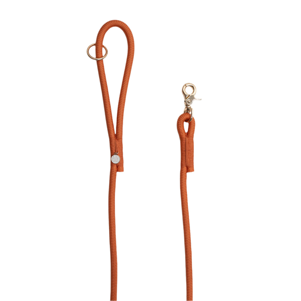 Orange dog leash with gold hardware on a white background
