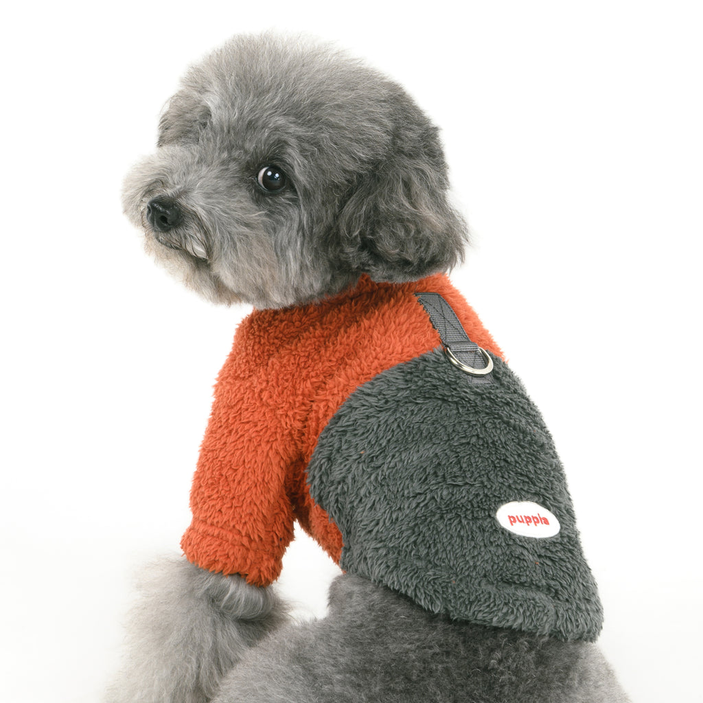Dog wearing a two-tone sweater with orange and gray colors on a white background