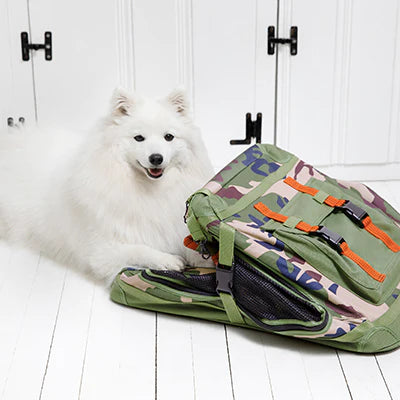 away-we-go crate carrier