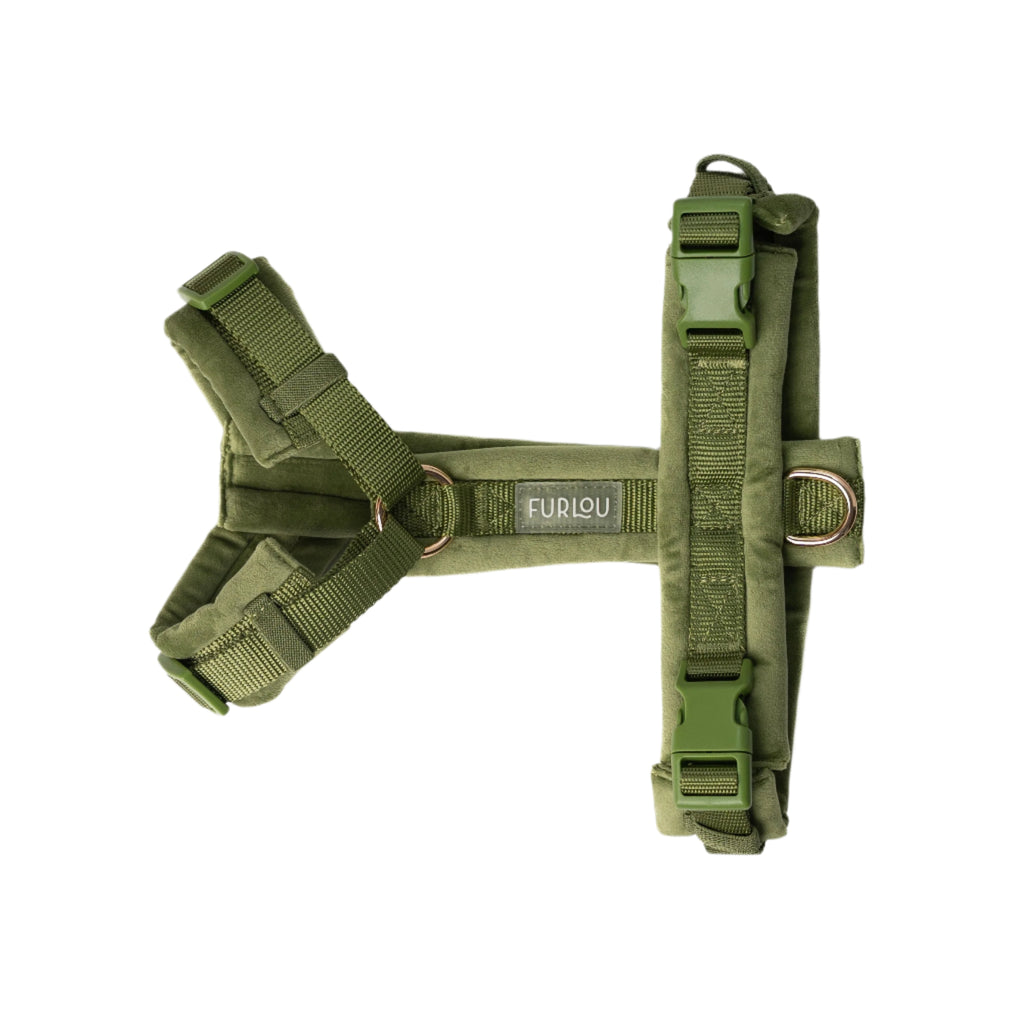 Green dog harness with visible brand logo on a white background