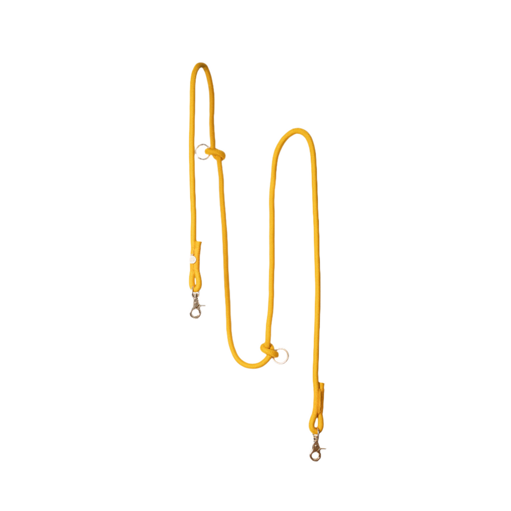 Yellow dog leash on a white background