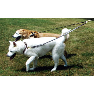 2 dog walker leather leash barking babies