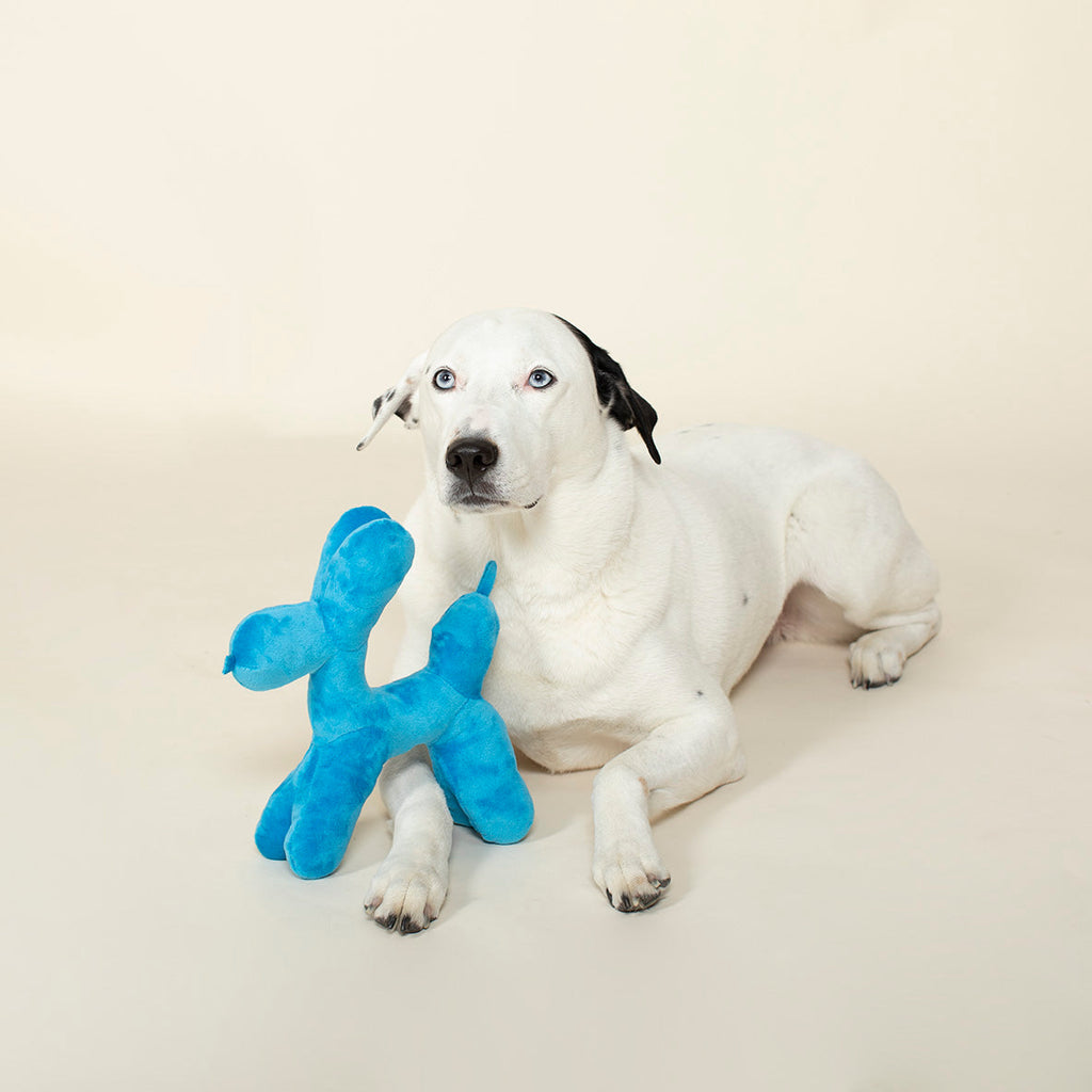 balloon dog plush toy