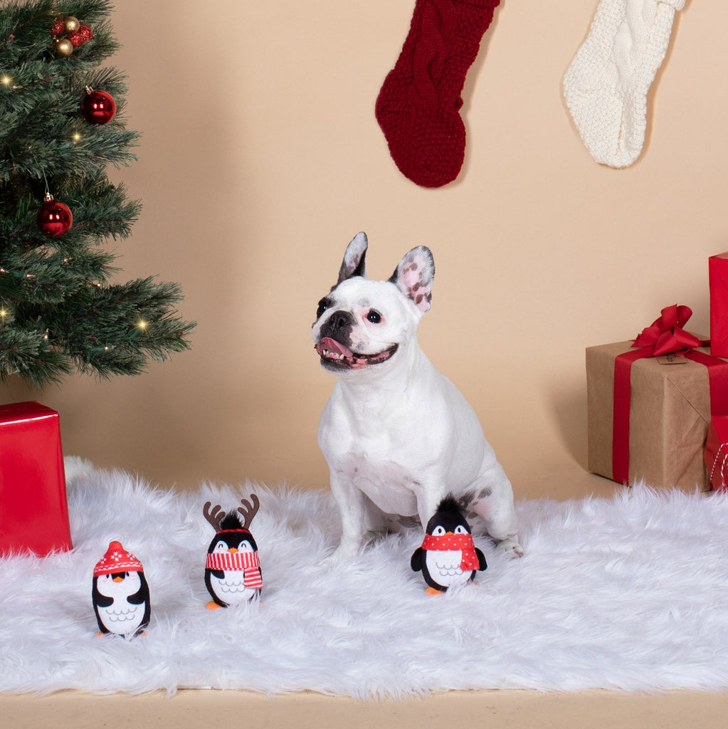 3 piece penguins toy set