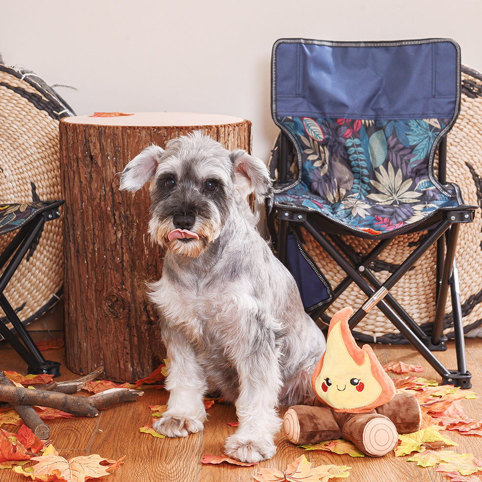 camping pups campfire toy