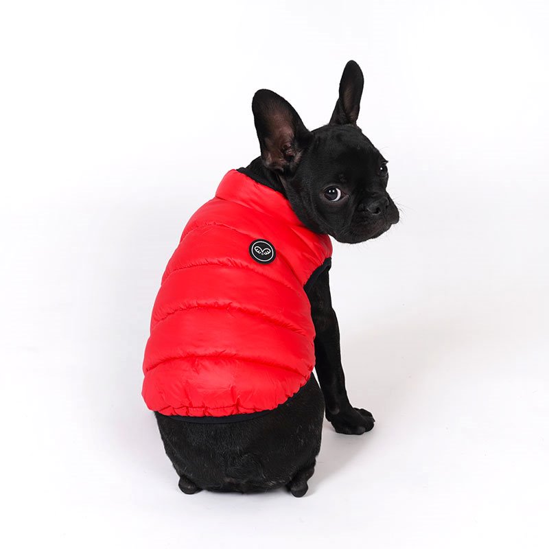 lightweight padding vest for frenchies - red