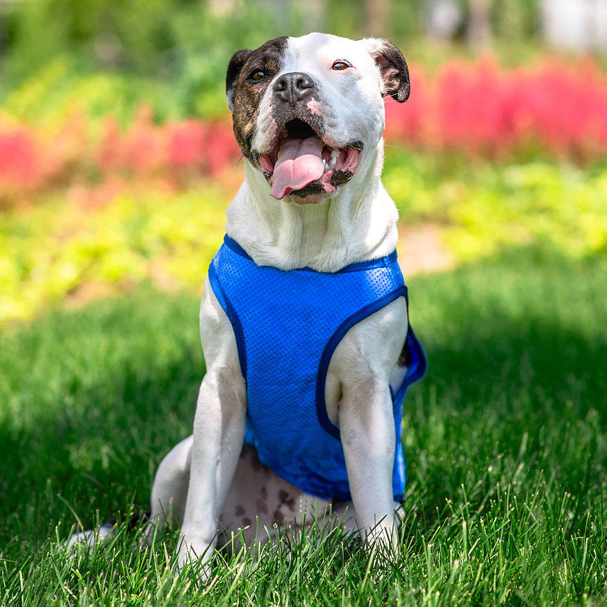 cooling ice vest - fits 6 lbs to 140 lbs