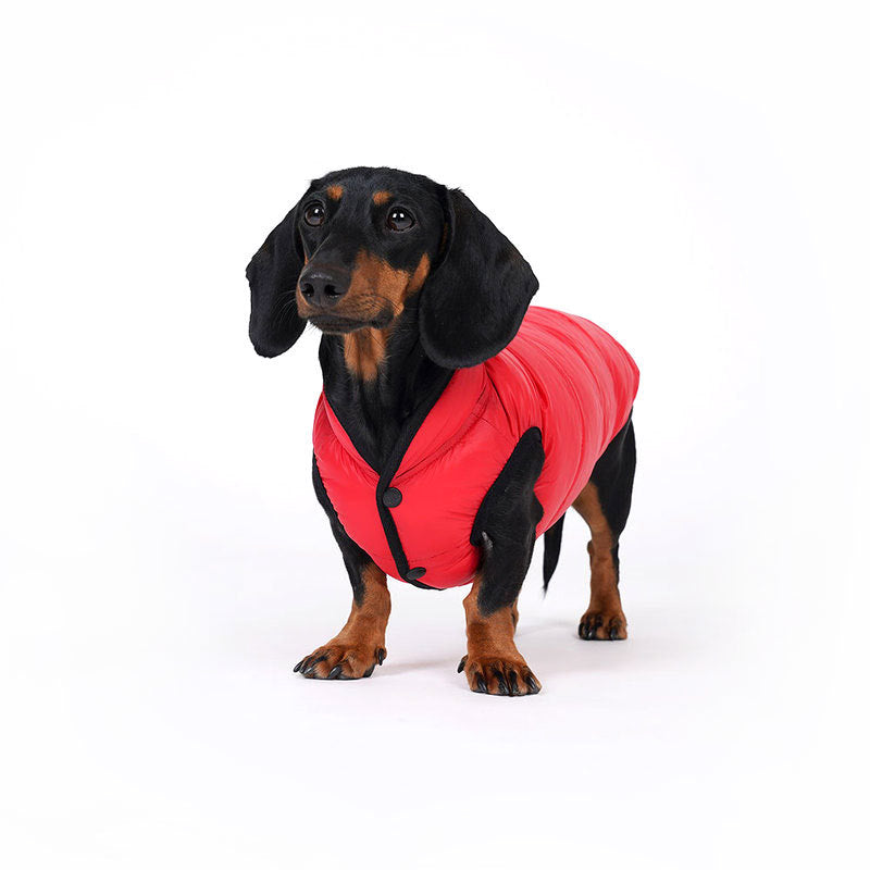 lightweight padding vest for dachshund - red