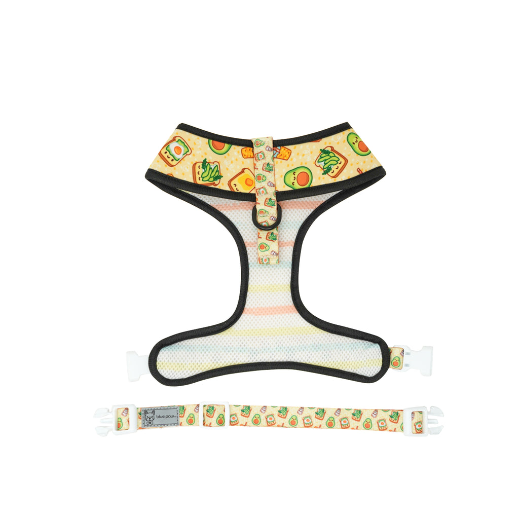 reversible harness avocado toast - 1 large left!