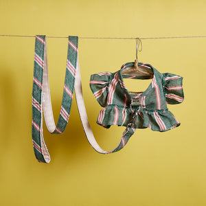 striped harness and leash set - 1 small left!