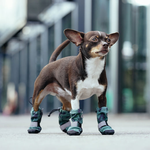 soft shield protective dog boots - camo