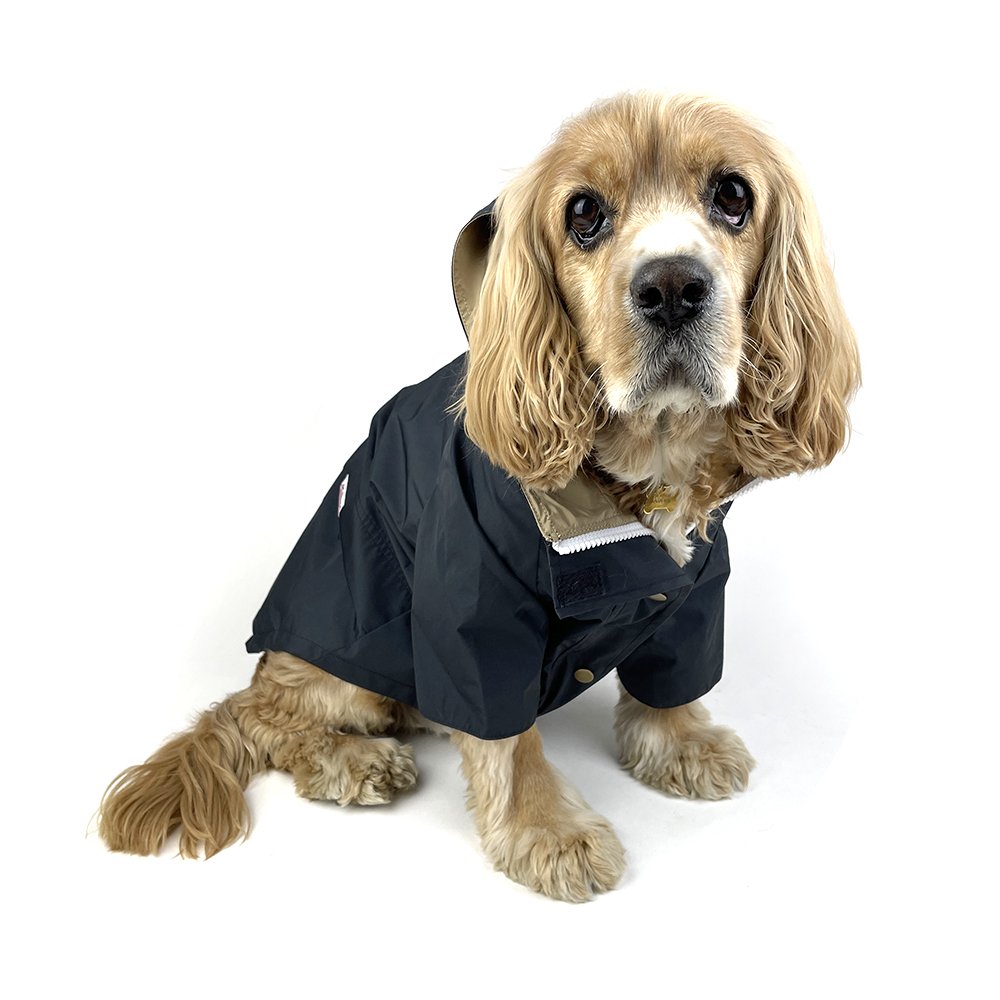 classic dog rain jacket - black