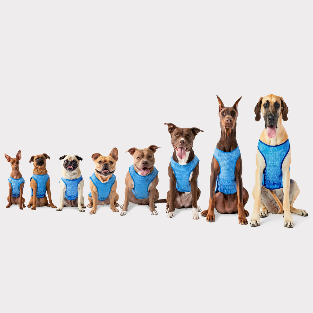cooling ice vest - fits 6 lbs to 140 lbs