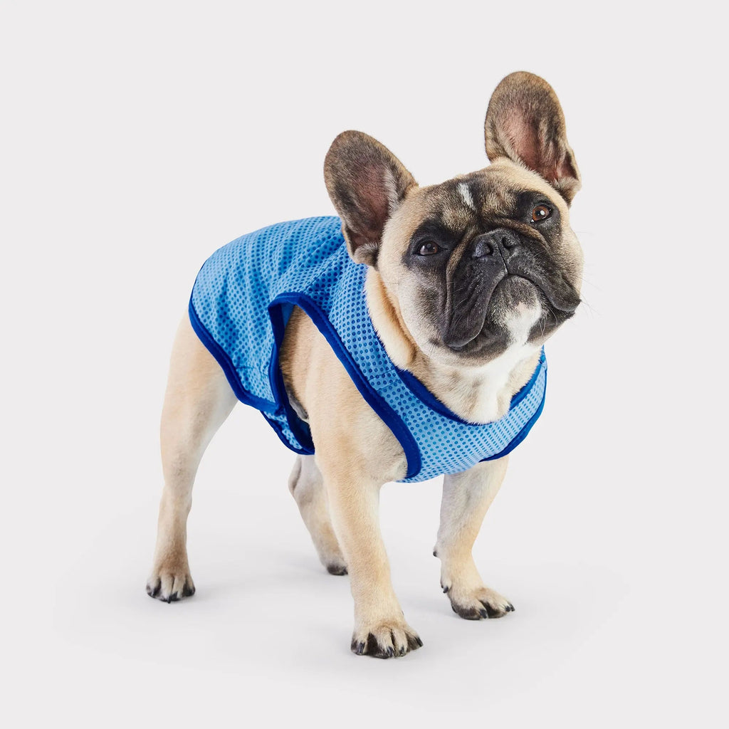 cooling ice vest - fits 6 lbs to 140 lbs