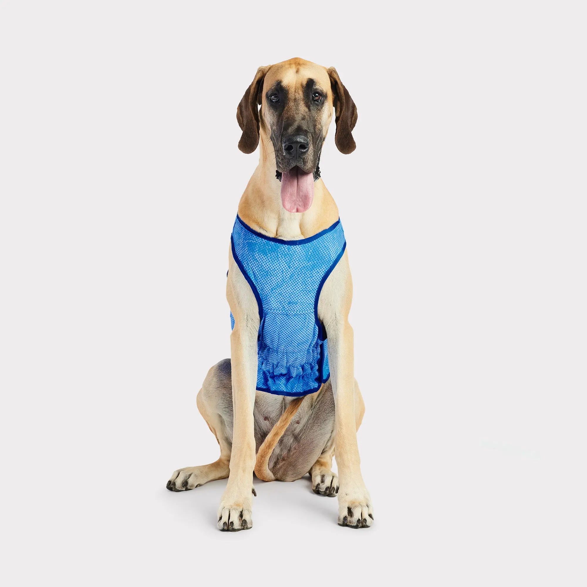 Cool dog on sale vest
