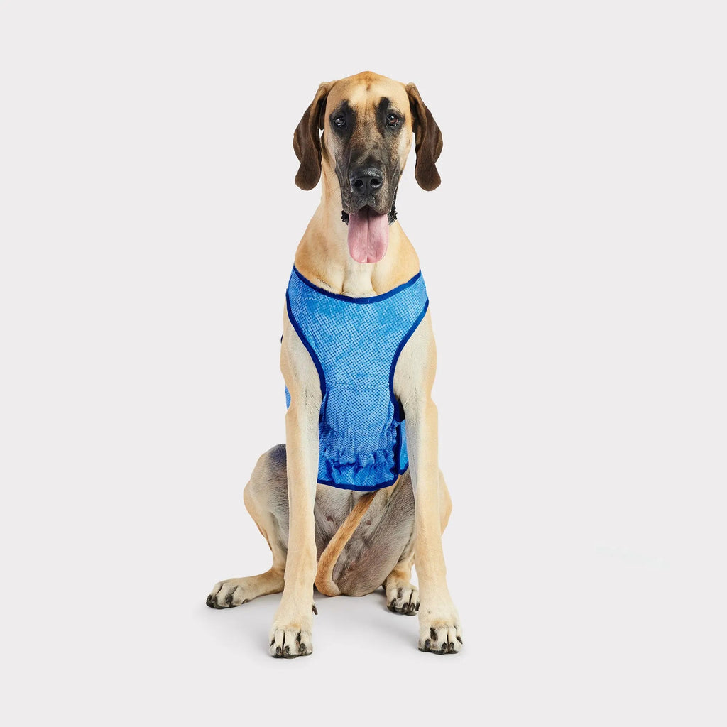 cooling ice vest - fits 6 lbs to 140 lbs