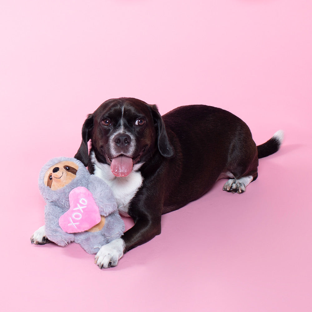 hedge-hugs & kisses plush dog toy