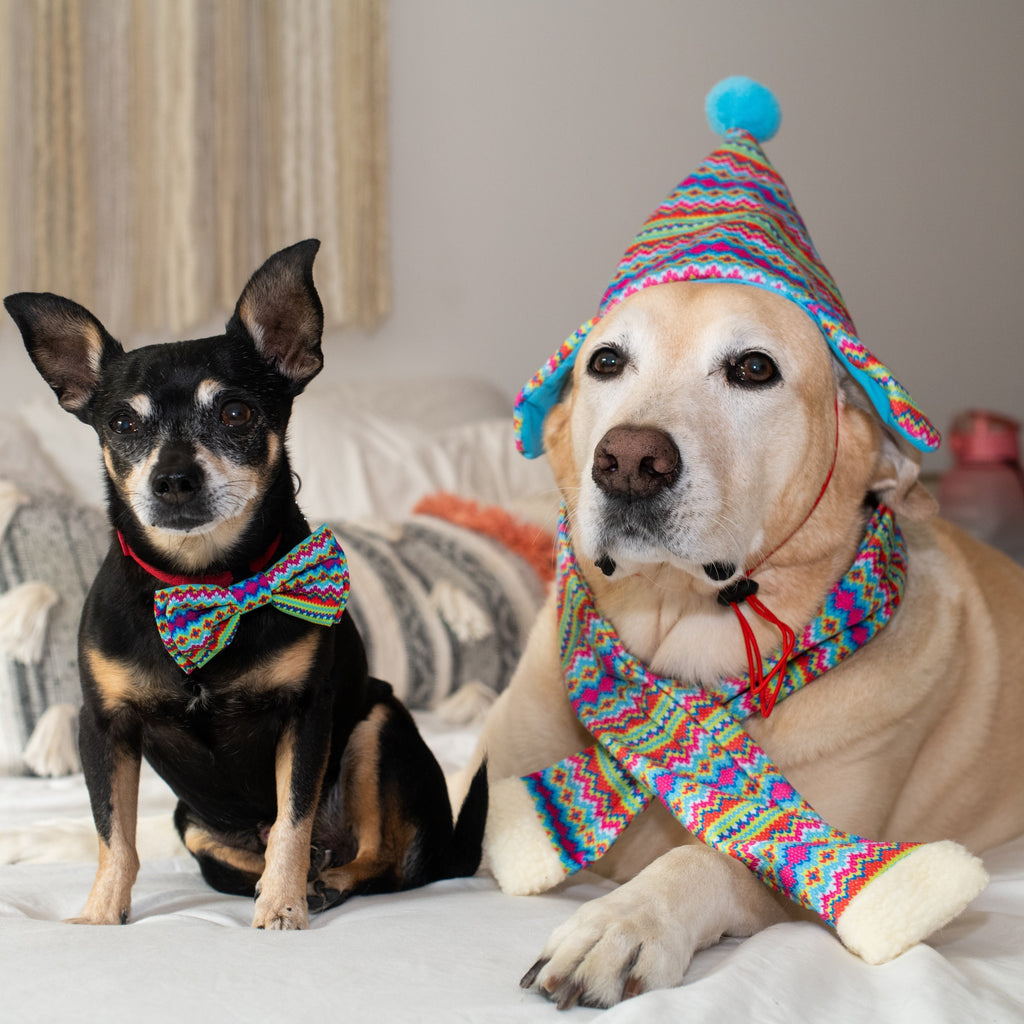 fairisle dog bow tie