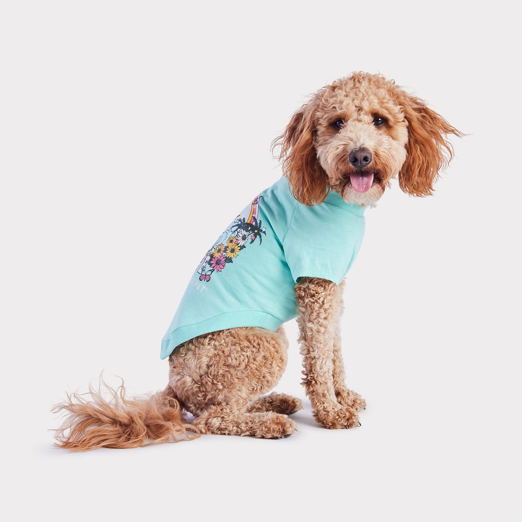 summer graphic tee - tropical aqua