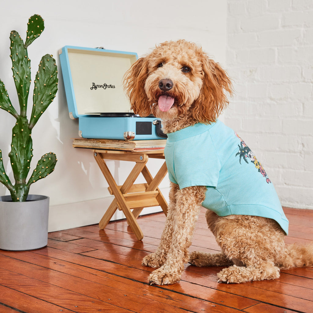 summer graphic tee - tropical aqua