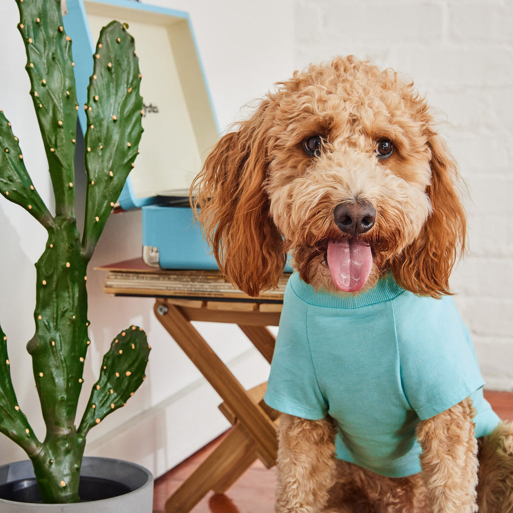 summer graphic tee - tropical aqua