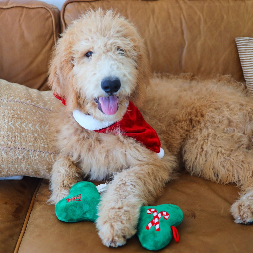 st. nick dog bandana - 1 medium and 1 large left!