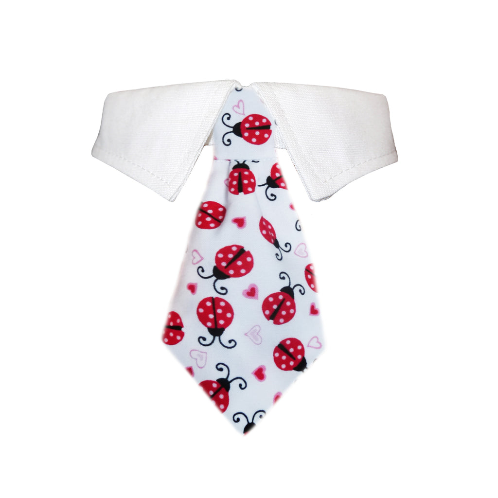 lady bug tie