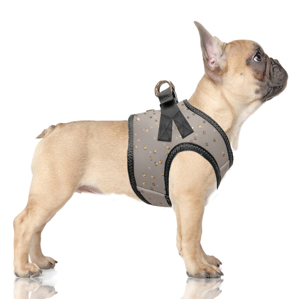 agathe gold dot grey harness (includes frenchie sizes)