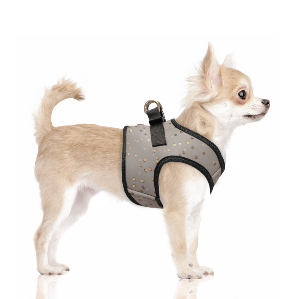 agathe gold dot grey harness (includes frenchie sizes)