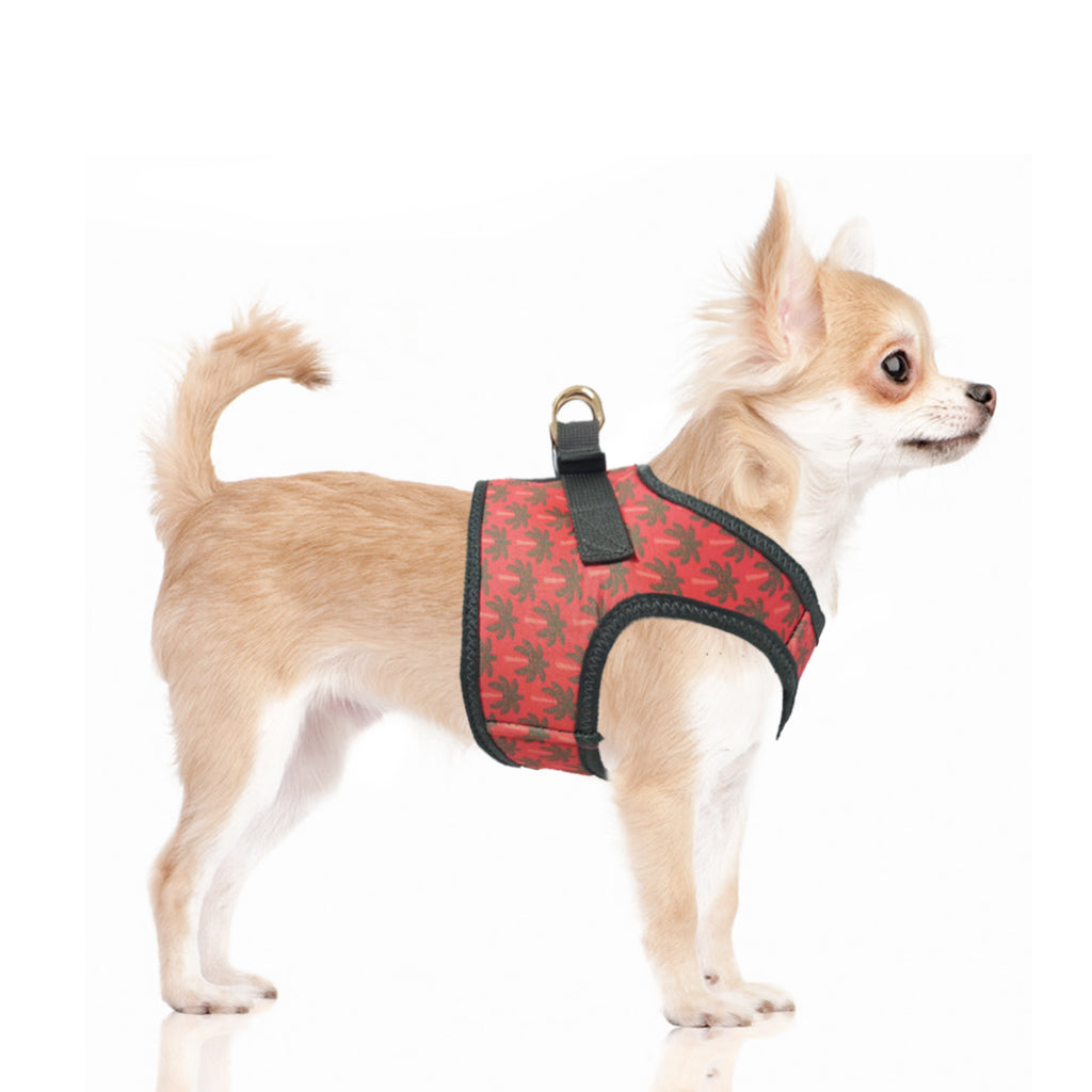 layana palm tree harness (includes frenchie sizes) - orange - few left!