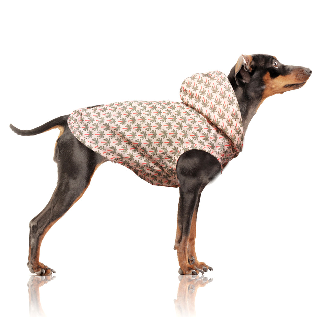 paloma palm tree raincoat -orange/khaki - few left!